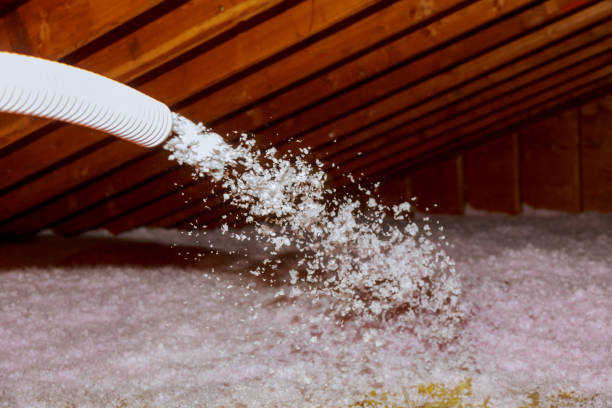 Best Professional Insulation Contractor  in West Branch, MI