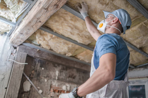 Best Commercial Insulation Contractor  in West Branch, MI