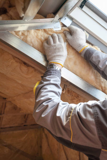 Best Insulation for New Construction  in West Branch, MI