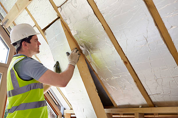 Best Insulation Inspection Services  in West Branch, MI